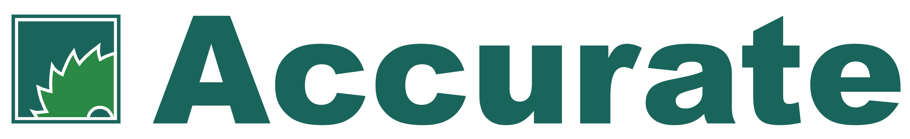 logotyp_Accurate (1)